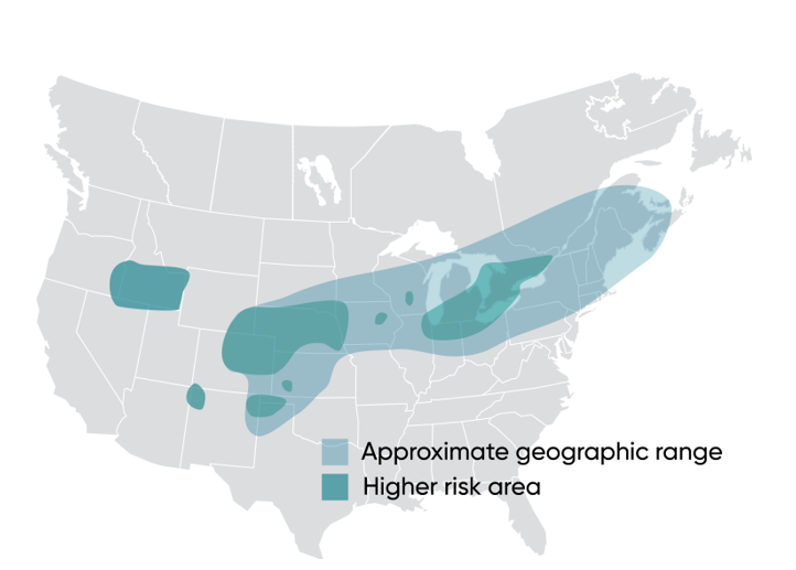 Geographic range of Western Bean Cutworm.