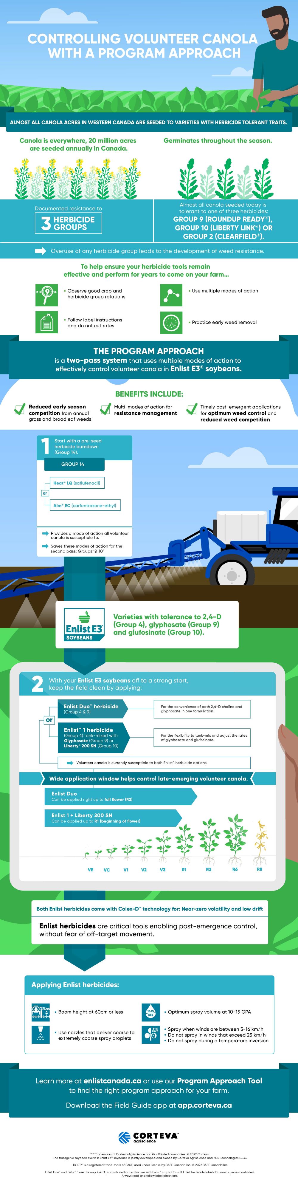 Controlling volunteer canola infographic