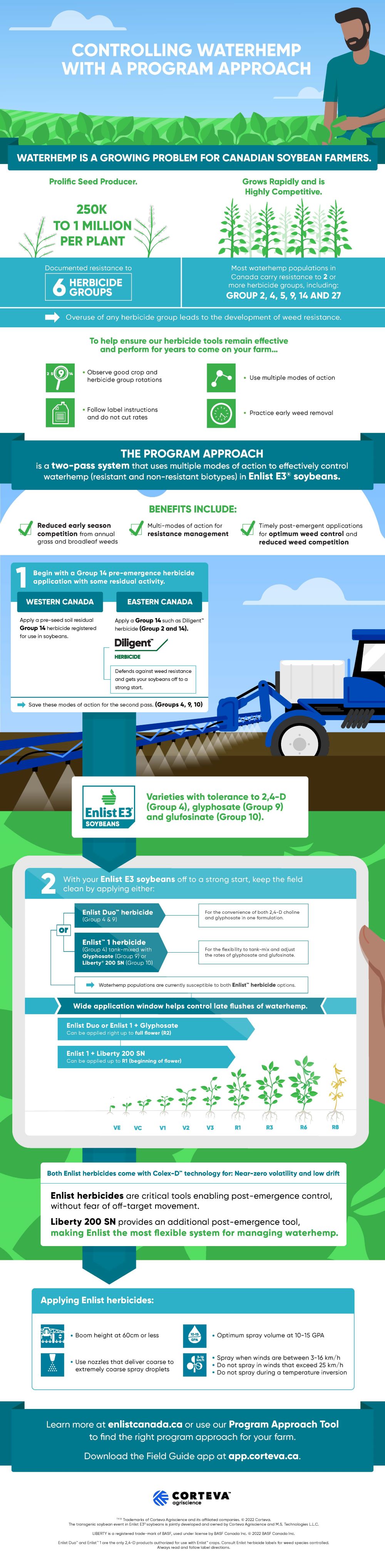 controlling waterhemp infographic